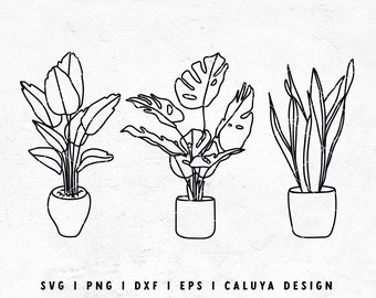 Line Art SVG | House Plant SVG | Monstera SVG | Plant Lady svg | Plant Line Art svg | Botanical svg | Free svg For Cricut, Cameo Silhouette