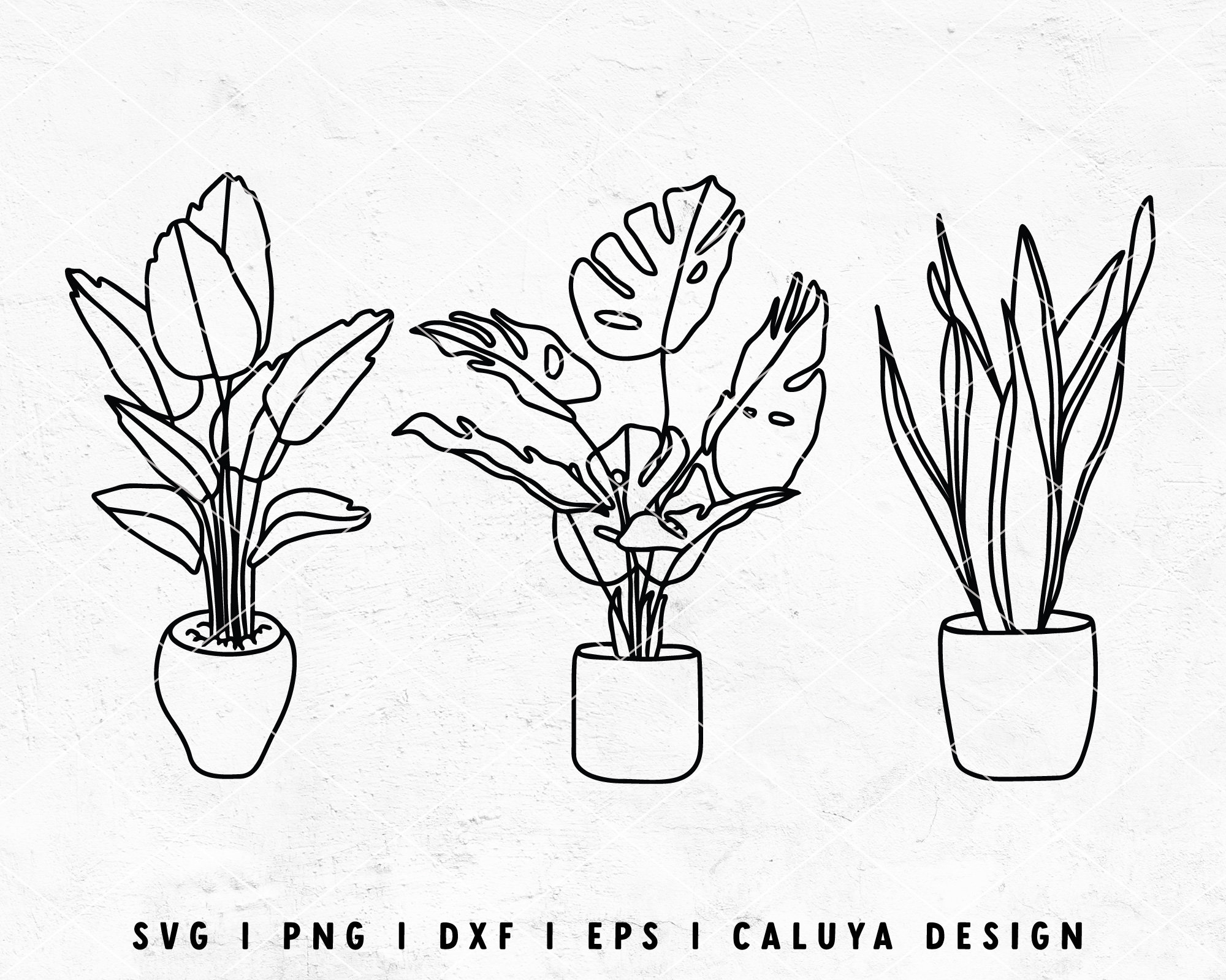 Line Art SVG House Plant SVG Monstera SVG Plant Lady Svg - Etsy Australia