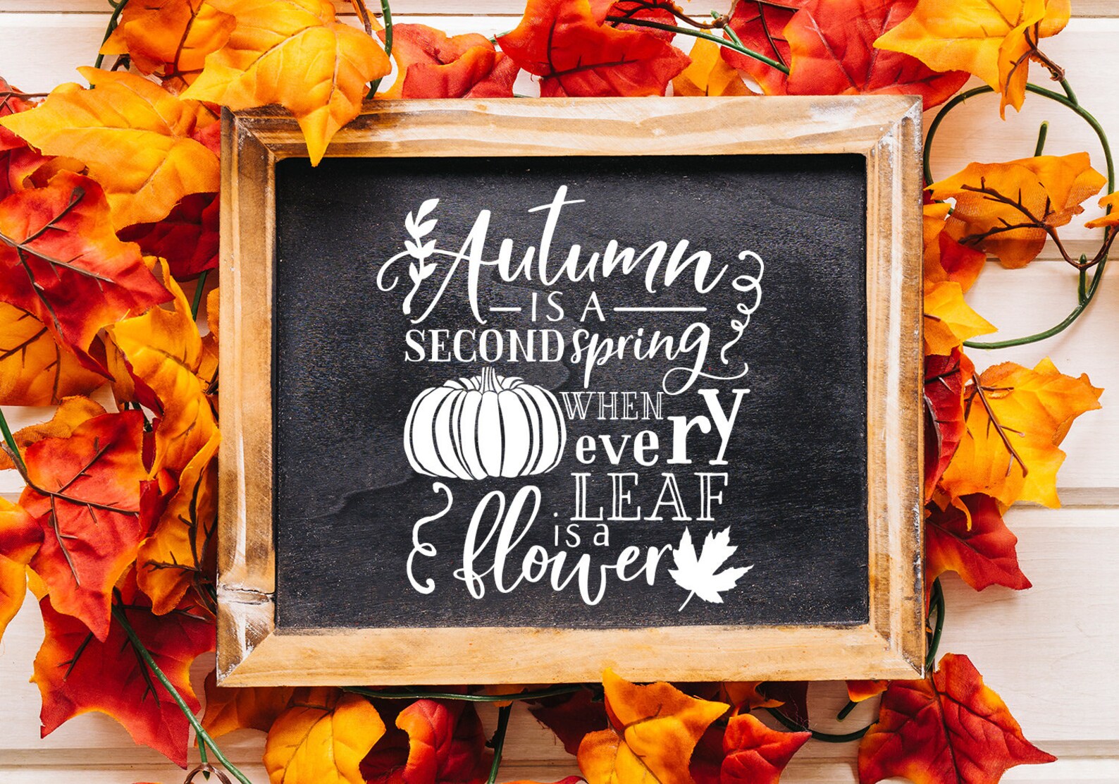 Download Fall Pumpkin SVG Cut File Bundle Deal Cut File for Cricut & | Etsy