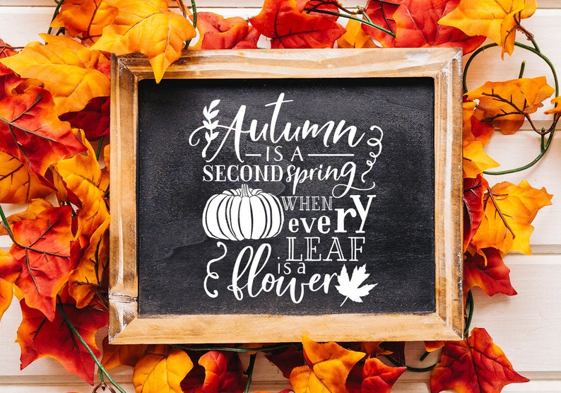 Fall Pumpkin SVG Cut File Bundle Deal Cut File for Cricut ...