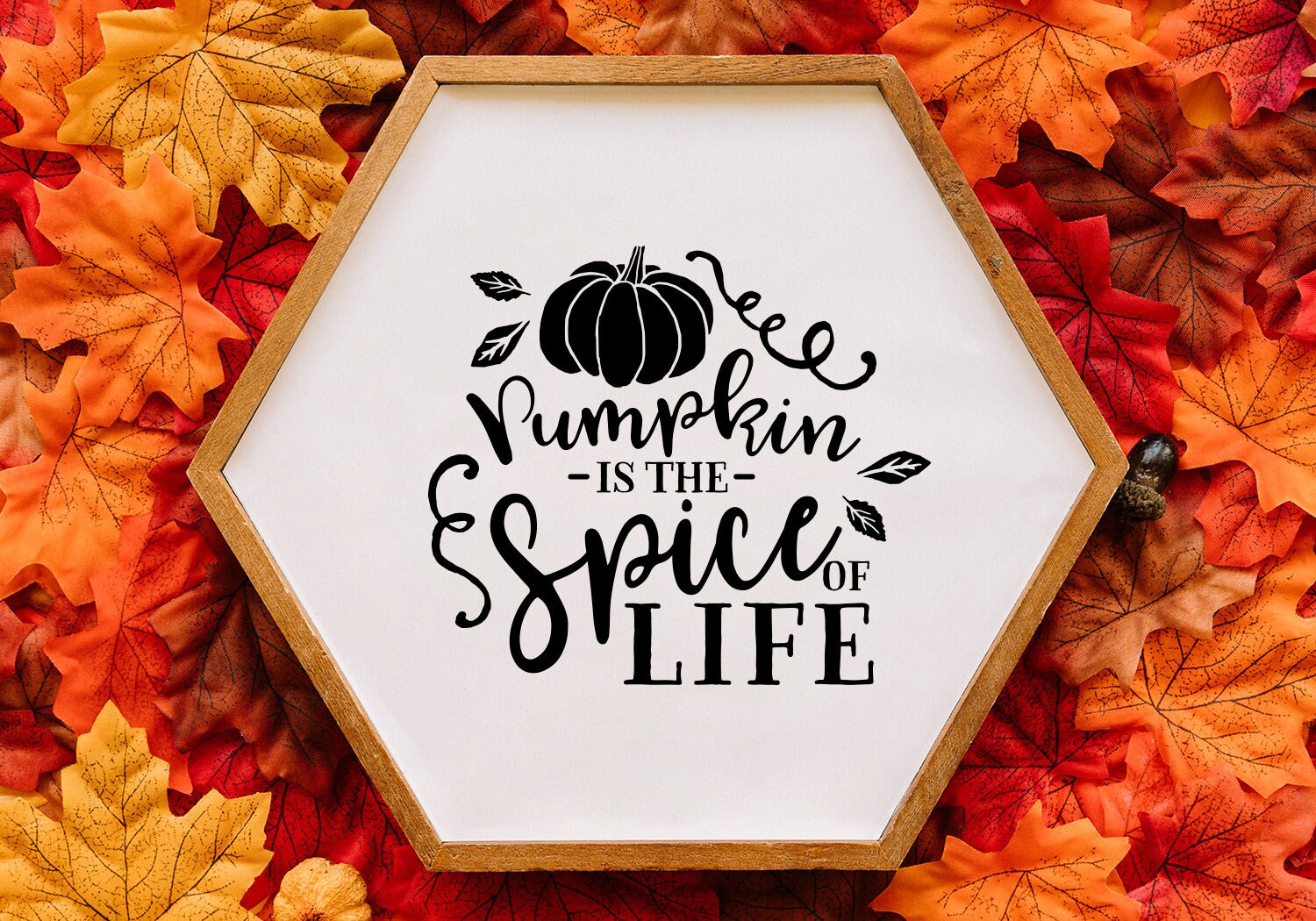 Download Fall Pumpkin SVG Cut File Bundle Deal Cut File for Cricut ...