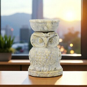 Può includere: Un oggetto decorativo a forma di gufo intagliato nei toni del beige e del grigio. Il gufo ha una parte superiore a forma di ciotola e dettagliate incisioni di piume e occhi. L'oggetto è fatto di pietra e poggia su una superficie di legno.