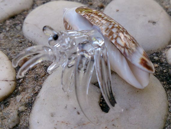Seashell Hermit Crab Figurines Blown Glass Mix Natural Brown White