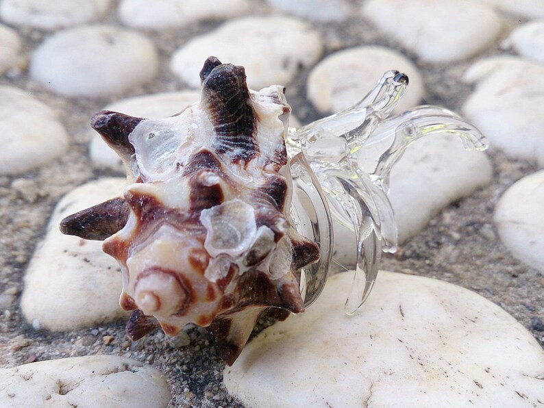 Seashell Hermit Crab Figurines Blown Glass Mix Natural White Black Shell Beach Animals Collectible Gift Home Decor