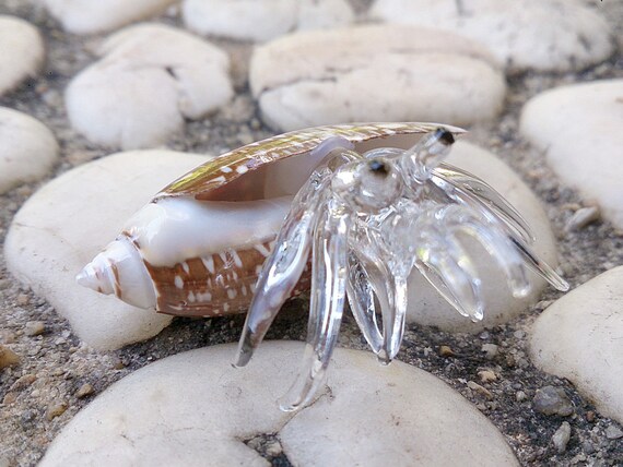 Hobby Natural Sea Shells - 20 Small Pieces For Decoration, Crafts & Hermit Crabs