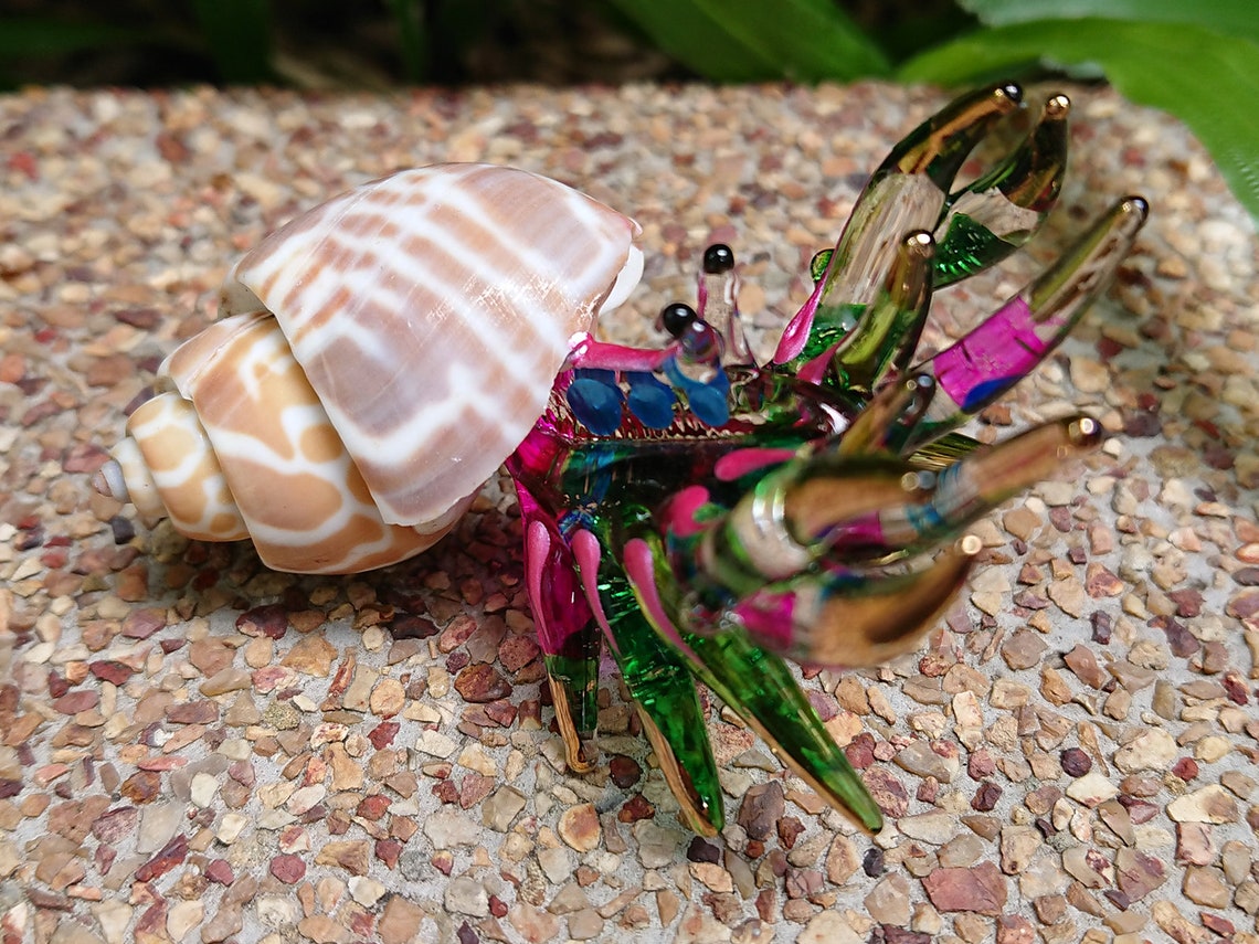 blown glass hermit crab