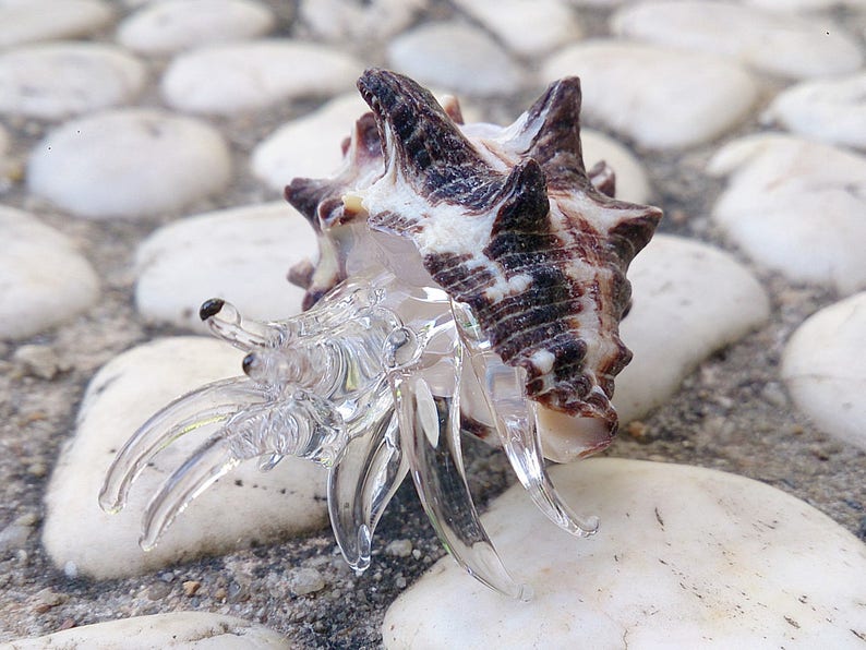 blown glass hermit crab