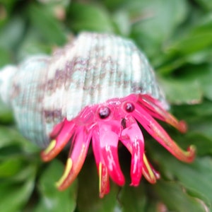 Seashell Hermit Crab Figurines Blown Glass Paint Pink Mix Natural Green Shell Beach Animals Collectible Gift Home Decor