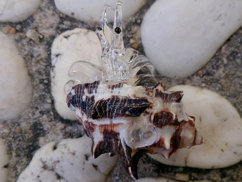 Seashell Hermit Crab Figurines Blown Glass Mix Natural White Black Shell Beach Animals Collectible Gift Home Decor