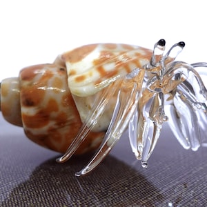 Seashell Hermit Crab Conch Tiny Miniature Figurines Beach Animals Hand Blown Glass Natural Sea Collectible Gift Home Décor, T (Beige White)