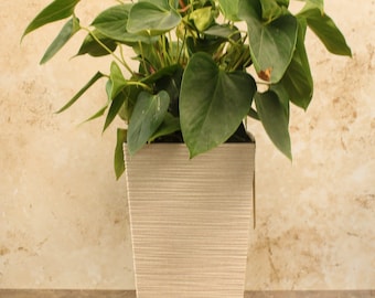 Recycled Tall Square Plant Pot, Eco-Friendly Planter, Sustainable Garden