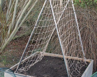 Mini Pea and Bean Frame - Space-Saving Garden Support for Peas, Beans, Courgettes, and Cucumbers