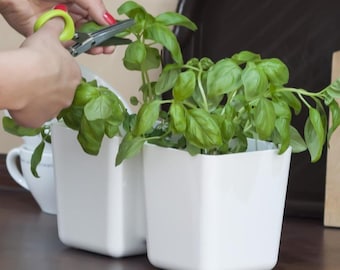 Recycled Plastic Indoor Herb Planter Kit: Twin Pots with 6-Blade Scissors