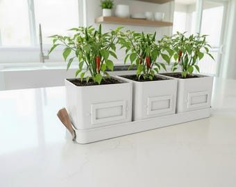 Kitchen Herb or Chilli Pots with Tray and Seeds – Indoor Planter with Drainage | Gift for Gardeners | Choice of Chilli or Herb Growing Set