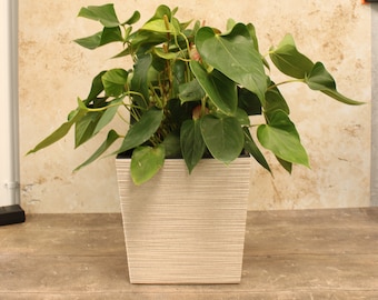 Recycled Square Plant Pot – Eco-Friendly Planter, Recycled Plastic, Indoor & Outdoor Use