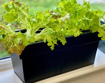 Black Aluzinc Window Box Planter: Rustproof Herb Garden Pot