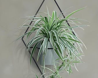 Diamond Wall Hanging Planter: Modern Metal Plant Decor