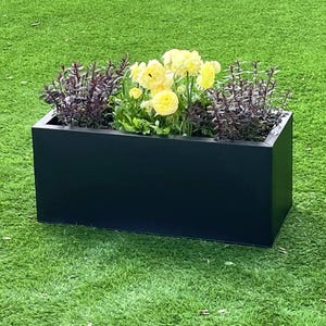 May include: A black rectangular planter with yellow flowers and dark purple foliage. The planter is sitting on a green lawn.