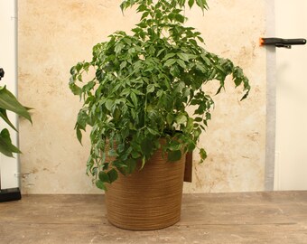 Recycled Round Plant Pot, Indoor Outdoor Flowerpot, Eco-Friendly Planter, Sustainable Garden Decor, UV Resistant, Garden Pot