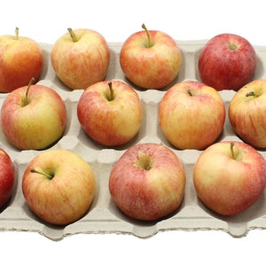 May include: A cardboard tray filled with 12 red and yellow apples. The tray has the number 12 and the word "CEMIO" printed on it.