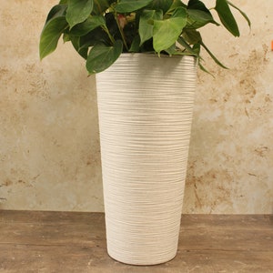 May include: White ceramic planter with a textured, ribbed surface. The planter is tall and cylindrical, and is perfect for displaying a houseplant.