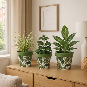 May include: Three potted plants with green foliage in decorative pots. The pots are green with a white and green tropical leaf pattern. The plants sit on a wooden surface. A framed abstract art piece hangs on the wall. A beige curtain and a lamp are also visible.