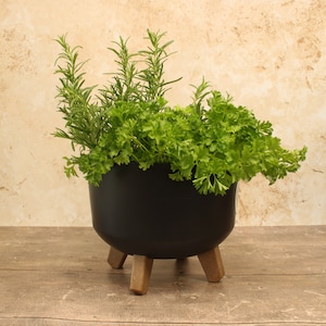 Round Indoor/Outdoor Plant Pot
