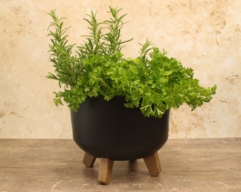 Round Indoor/Outdoor Plant Pot