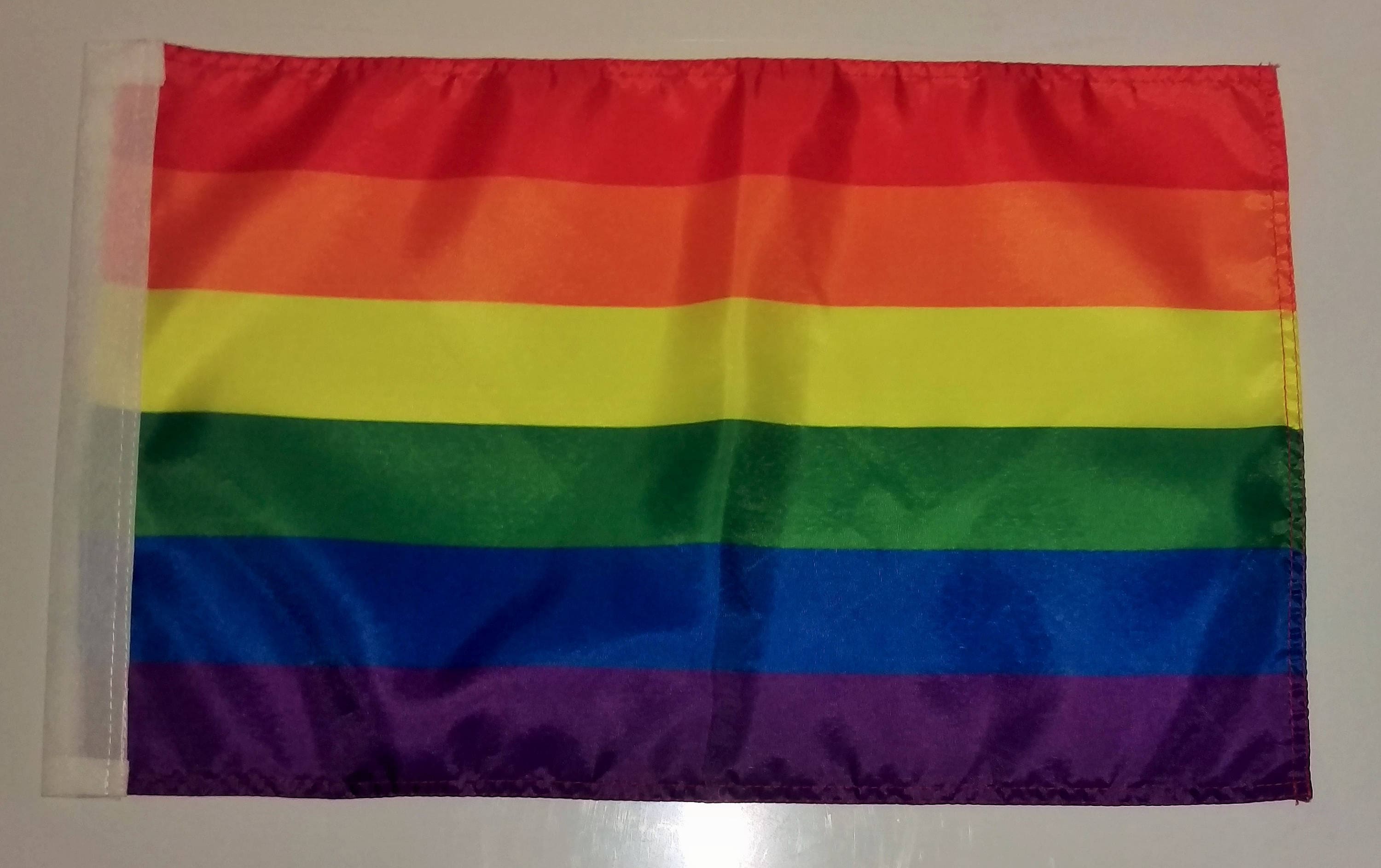 Segnaletica Stradale Della Bandiera Dell'arcobaleno E Del Passaggio Pedonale Parigi Concetto Di Discriminazione Base Al Sesso Image154718311