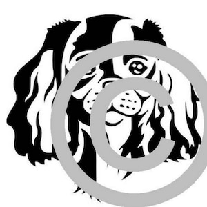 Peut inclure: Silhouette noire et blanche d'un Cavalier King Charles Spaniel avec des oreilles tombantes et une expression joyeuse.