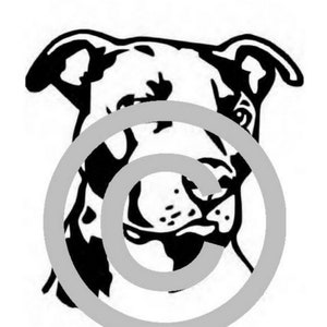 Puede incluir: Ilustración en blanco y negro de la cabeza de un perro pit bull. El perro está mirando hacia un lado con la boca cerrada.