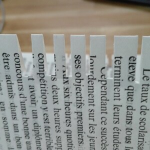 May include: A close-up of a page from a book with text in French about the effectiveness of family structures and the role of children in education. The text is partially obscured by torn edges.