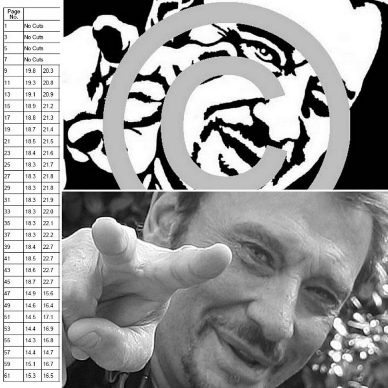 Johnny Hallyday Jeune Patron de livre pli\u00e9 d\u00e9coup\u00e9