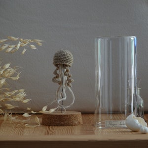 Méduse sous cloche en verre,"Pelagia Noctiluca" N.33/22 collection Curiosité, Les Marines  MADE BY BEE, cabinet de Curiosités
