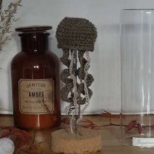 Méduse sous cloche en verre,"Rhizostoma Pulmo" N.53/22 collection Curiosité, Les Marines  MADE BY BEE, cabinet de Curiosités