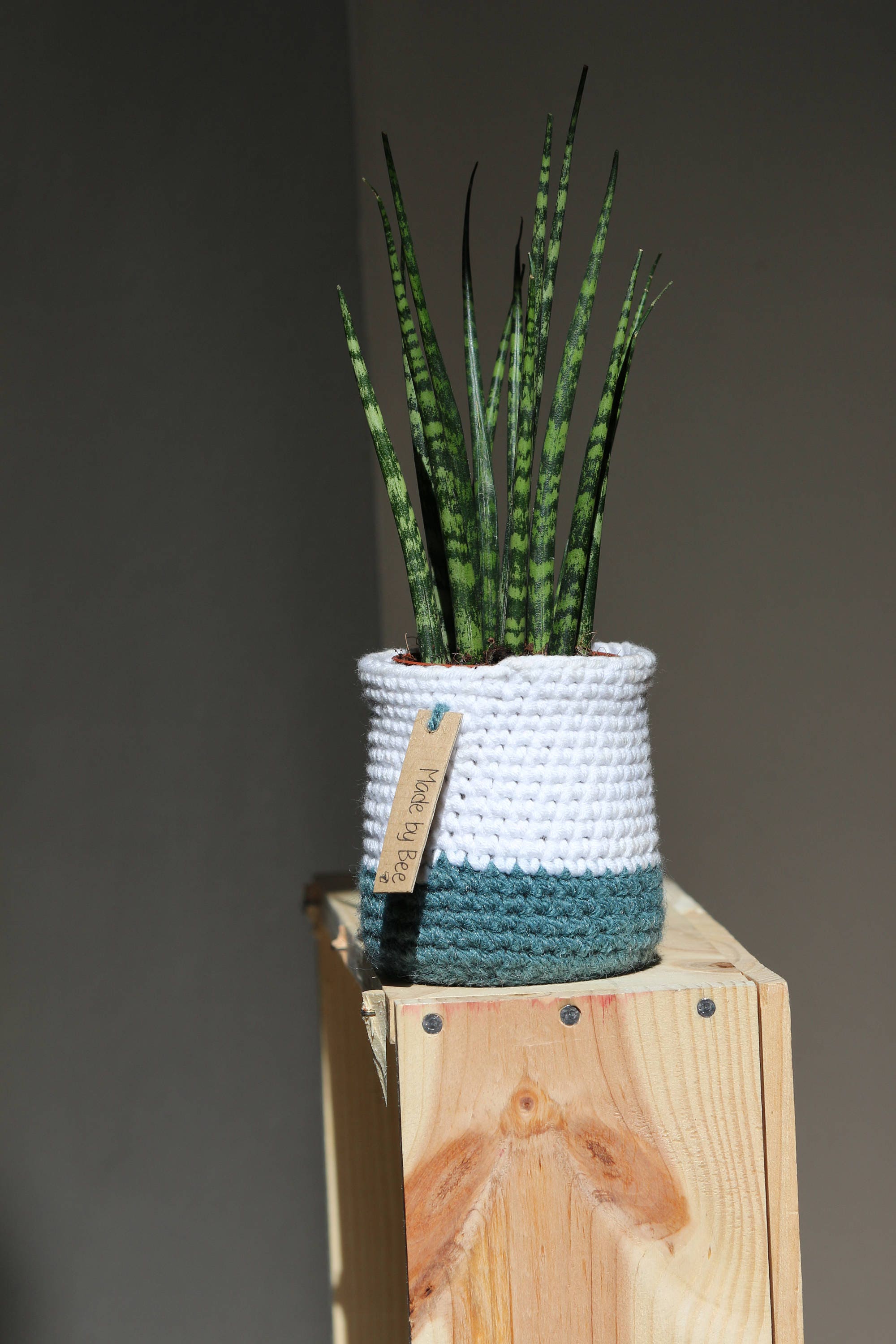 Cache Pot Au Crochet, Blanc, Bleu, Pièce Unique Faite Main, Objet Textile, Pot de Fleur, Vase Textil