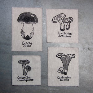 Może przedstawiać: Cztery kwadratowe łatki z tkaniny z czarnymi ilustracjami atramentowymi różnych rodzajów grzybów. Każda łatka ma wydrukowaną pod ilustracją nazwę naukową grzyba. Nazwy to: Boletus edulis, Lactarius deterrimus, Craterellus cornucopioides i Cantharellus cibarius.