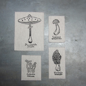 Puede incluir: Cuatro tipos diferentes de setas se ilustran en cuadrados de tela beige separados. Las setas están etiquetadas con sus nombres científicos: Macrolepiota procera, Leccinum aurantiacum, Craterellus lutescens y Morchella esculenta.