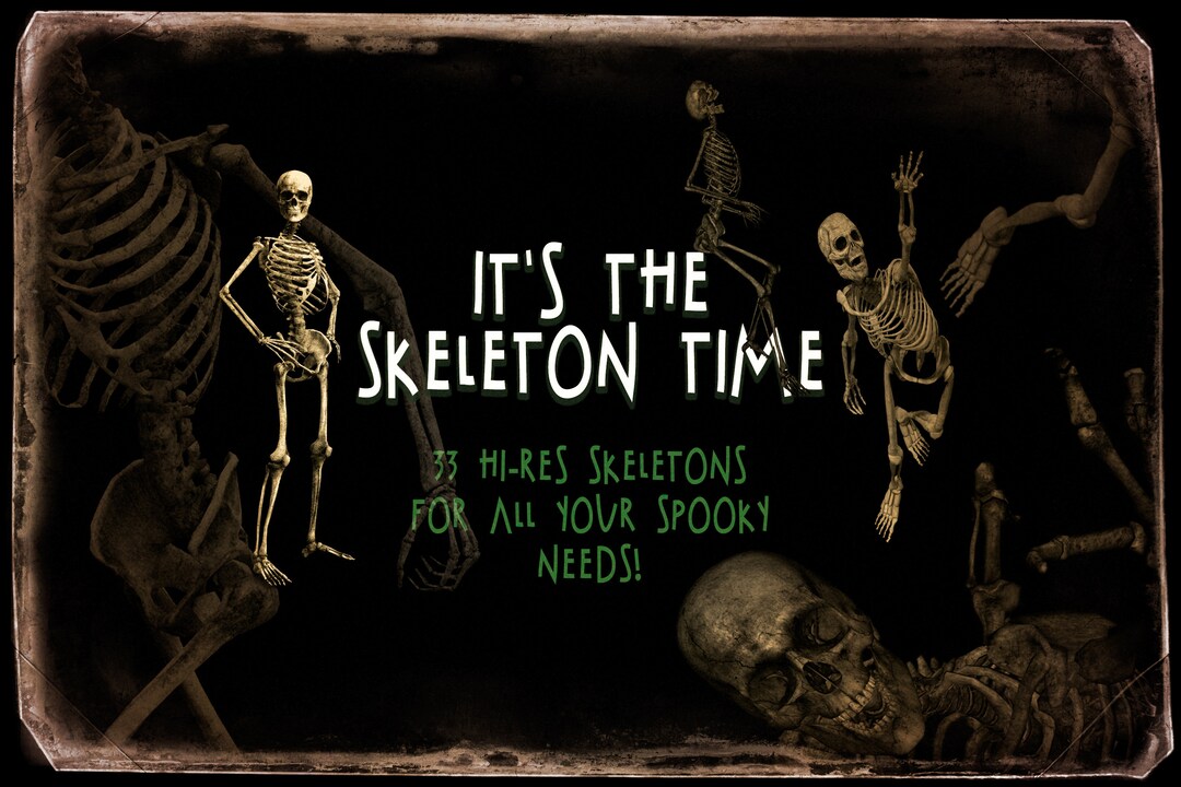 SKELETON TIME Overlays 33 Hires Skeleton Png Overlays Skull Etsy
