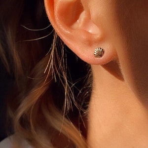 Mini puce d'oreille coquillage en plaqué or pour femme, boucle oreille minimaliste, petite boucle oreille, cadeau pour femme image 2