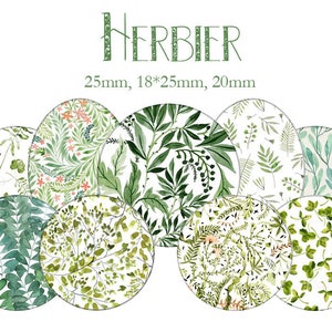 Printable Digital Collage Sheet images "herbarium, leaf, green, tree, nature, jungle"- Instant Download
