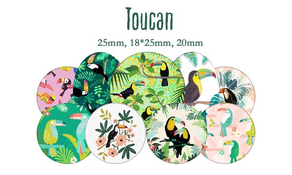 Planche d'images cabochons / digitales "Toucan, oiseau, tropical, bird, été, vert" ronds et ovales