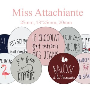 Puede incluir: Un conjunto de 10 pegatinas redondas con varios diseños y texto en francés. Las pegatinas tienen un diámetro de 25 mm. El texto en las pegatinas incluye "What", "Flemme-en-ro", "Attacha", "Le Chocolat fait rétrécir mes jeans", "Je le ferai demain", "Folie des ndeurs", "Super", "Raleuse à la Française", "Princesse en baskets".