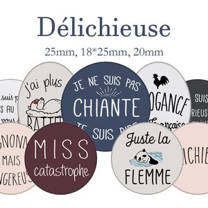 Peut inclure: Collection de boutons ronds et colorés avec du texte français. Les boutons présentent diverses phrases et illustrations, dont un panda endormi, un coq et les mots "Miss Catastrophe".
