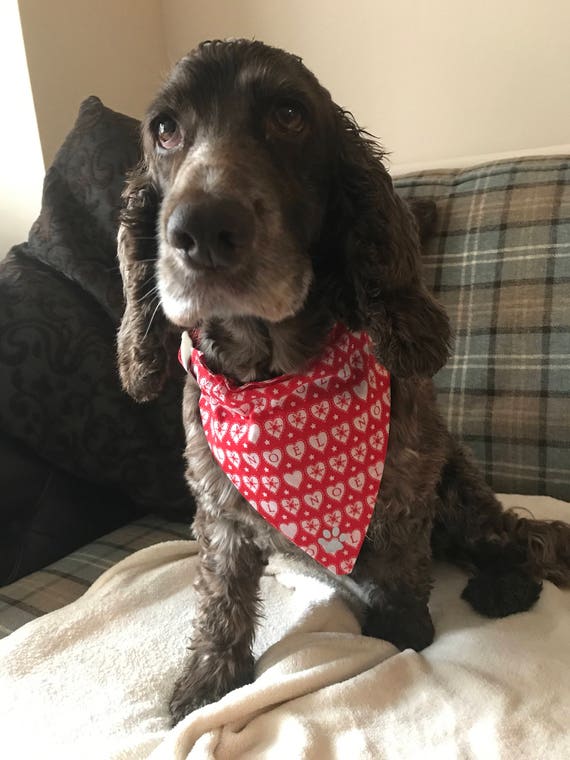 dog neckerchief christmas