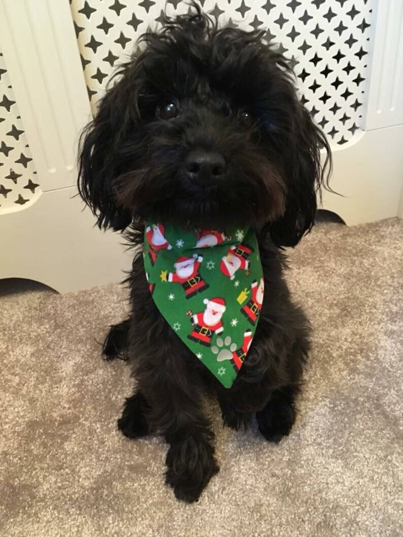 dog neckerchief christmas