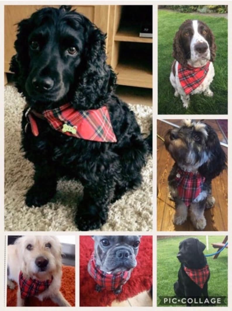 handmade dog bandanas