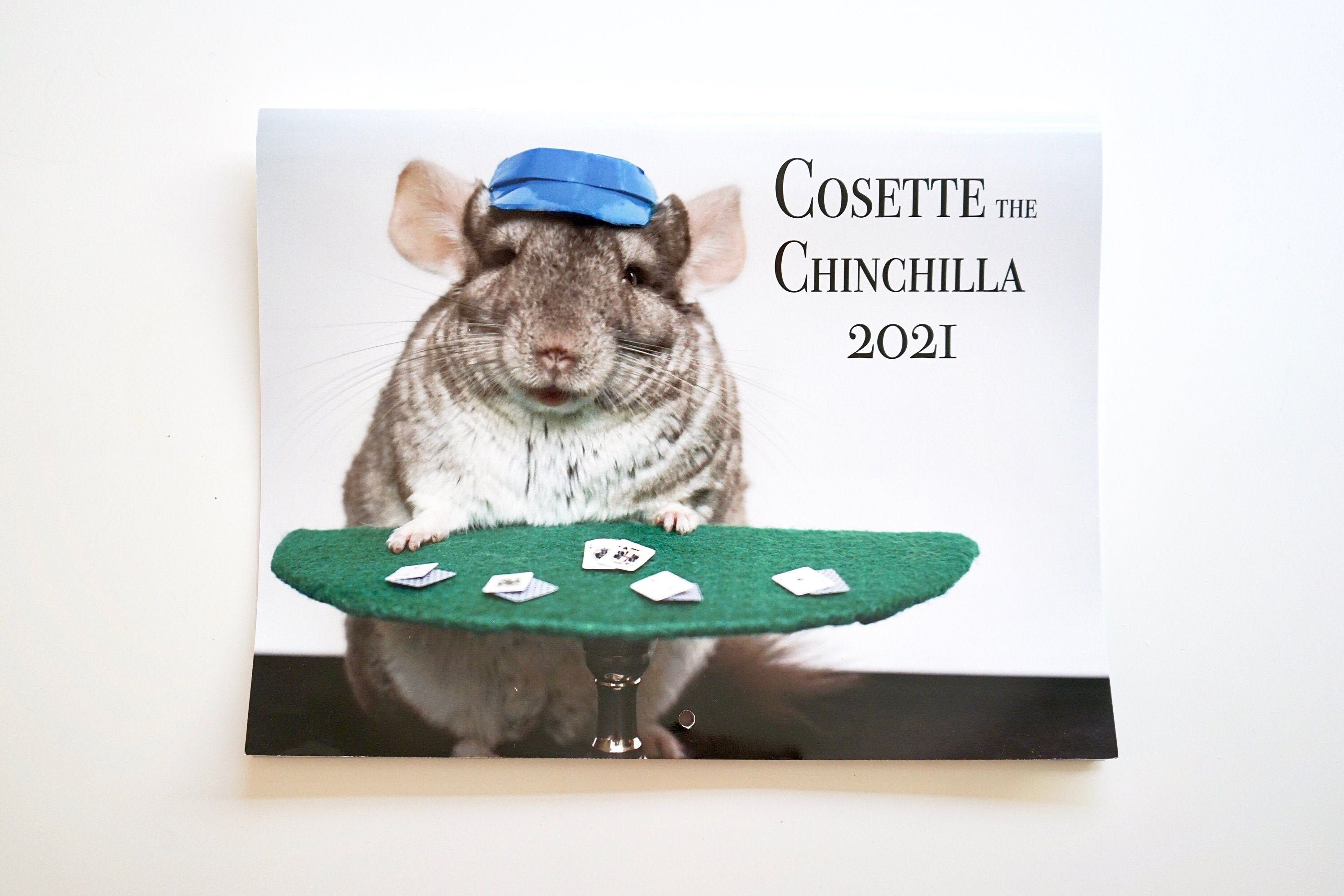 2021 Chinchilla Calendar 12 Month Calendar 11 x 8.5 Wall Etsy