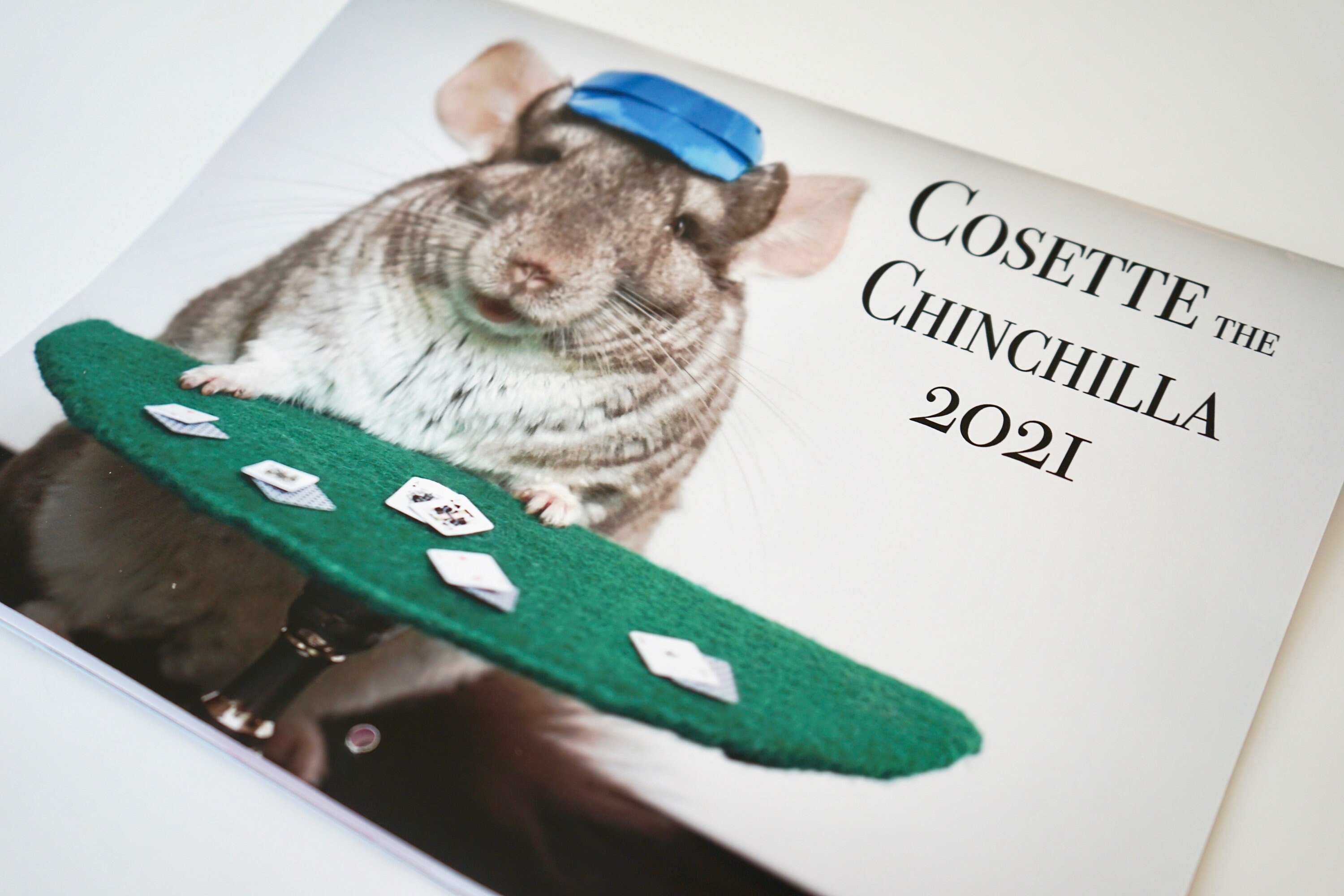 2021 Chinchilla Calendar 12 Month Calendar 11 x 8.5 Wall Etsy
