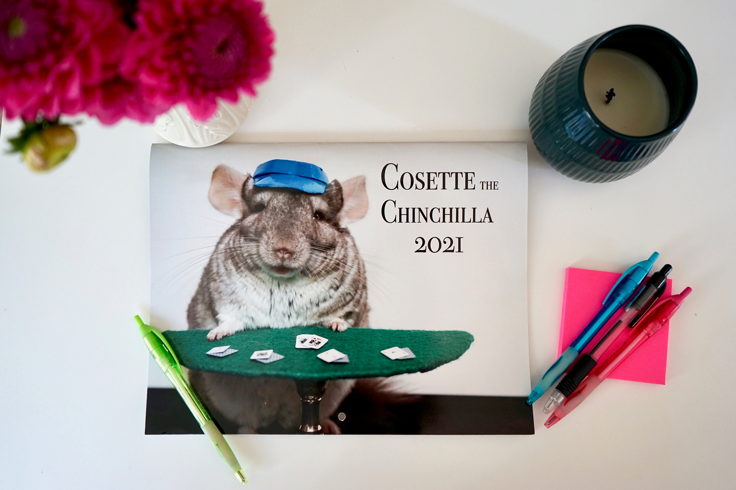 2021 Chinchilla Calendar 12 Month Calendar 11 x 8.5 Wall Etsy